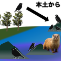 sonohanaha
            
            