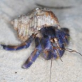 sonohanaha
            
            