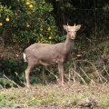 sonohanaha
            
            