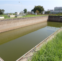 水位操作による富栄養化症状の緩和　～湖沼における水質管理手法の新しい選択肢～
            