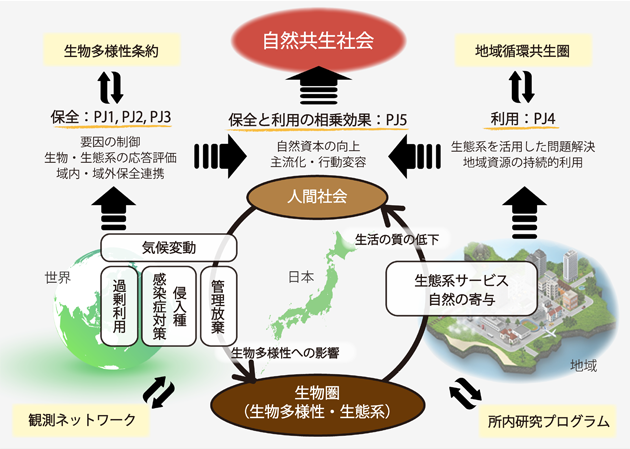 自然共生プログラム概要図