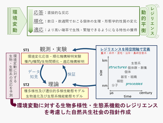 プロジェクト3概要図