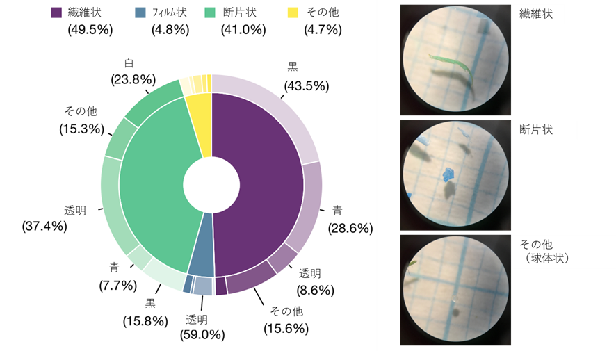 図２：世界38湖沼から検出されたプラスチック片の形態と色の割合（内側の円グラフは形態の割合、外側の円グラフは形態ごとの色の割合を示している）。右の写真は、実際に霞ヶ浦で採集されたプラスチック片の形態写真。
