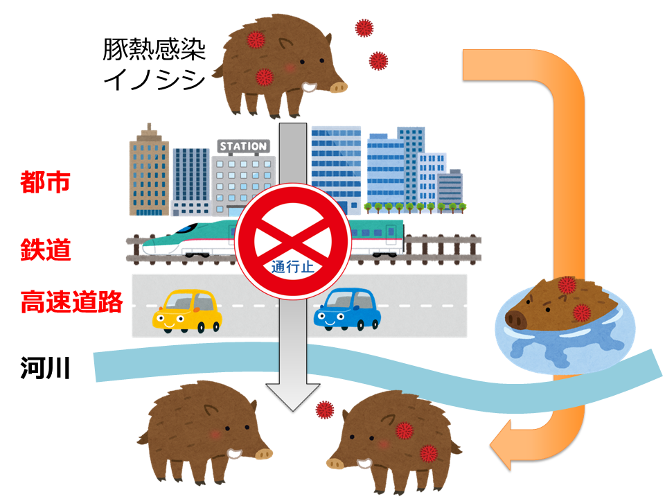 伝搬イメージ
