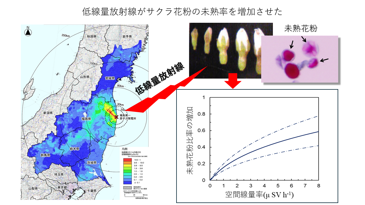伝搬イメージ