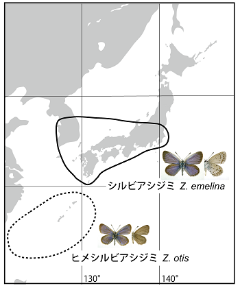 シルビアシジミおよびヒメシルビアシジミの生息分布