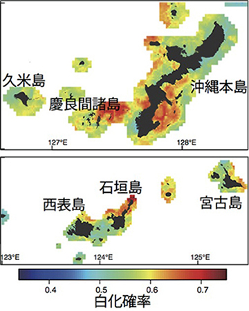 本研究のモデルによって推定した沖縄県の平均白化確率