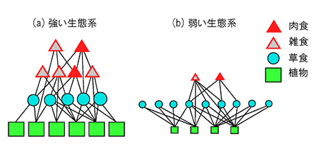 強い生態系と弱い生態系の模式図