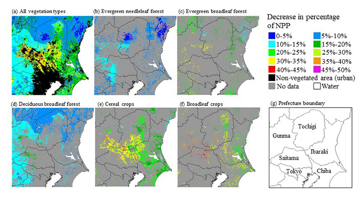 植生タイプ別のオゾンによるNPP減少分の空間分布図