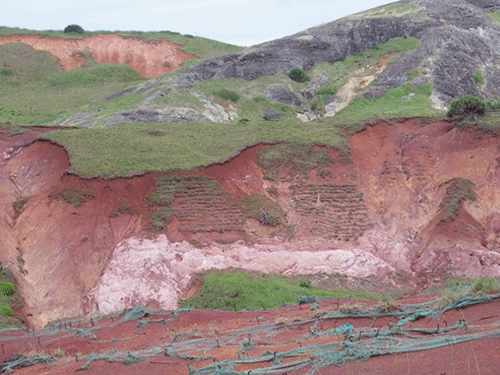 ヤギの食害による裸地化が進んだ媒島の写真