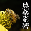 ミツバチにおけるアカリンダニへの自己グルーミング行動に、ネオニコチノイドが与える影響
