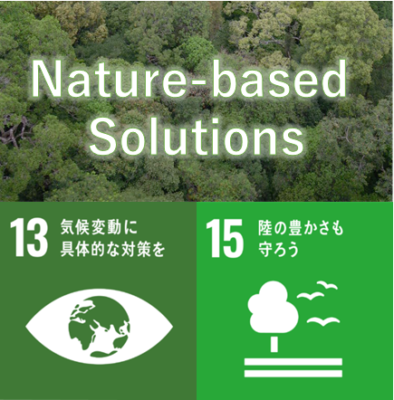 気候変動時代の生態学：陸域生態系における「自然を基盤とした解決策」にむけた課題