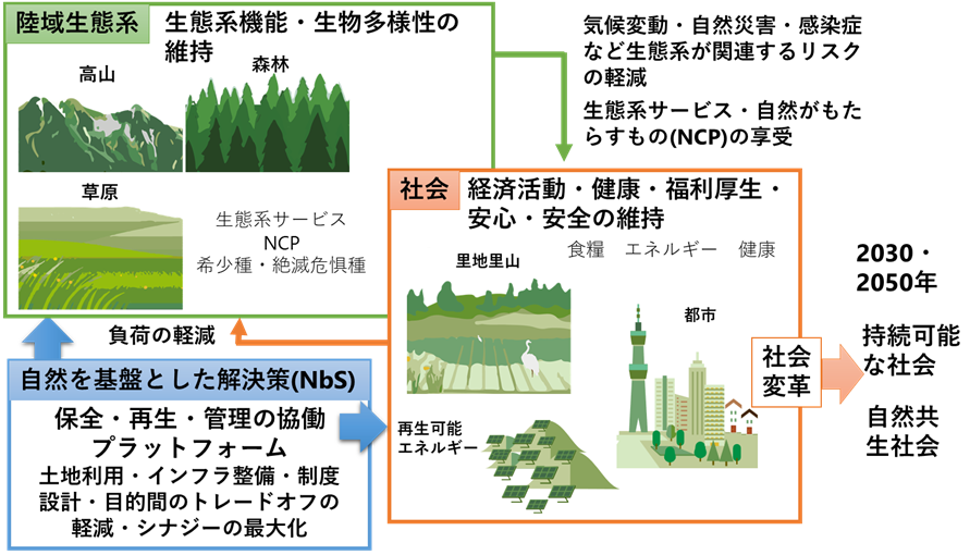 自然を基盤とした解決策（NbS）のターゲットとアプローチ