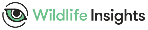 Wildlife Insights