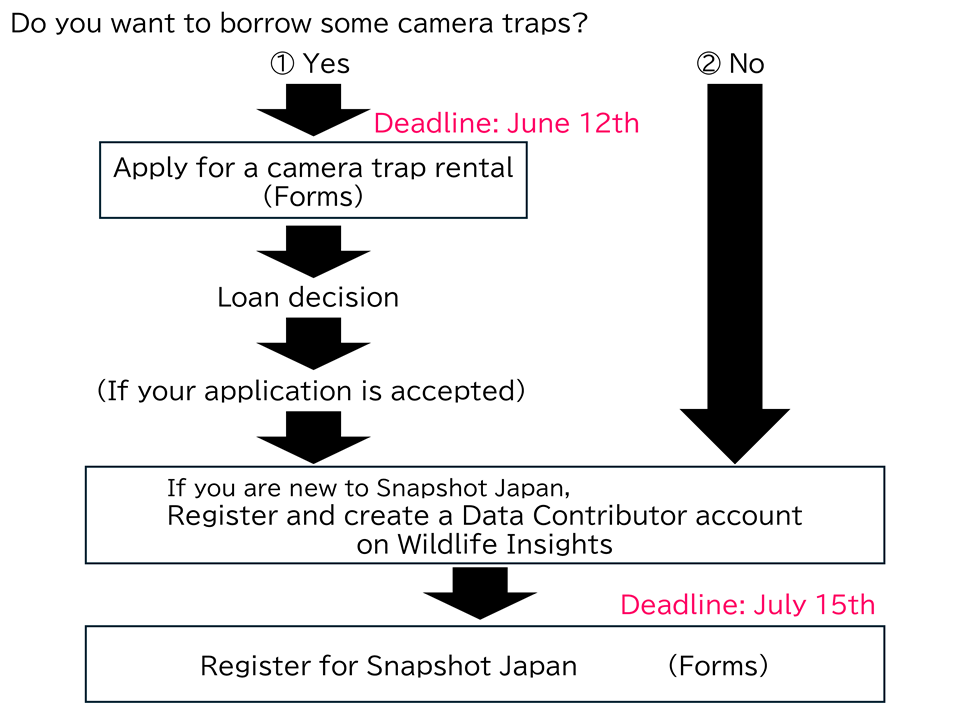 Registration Flow