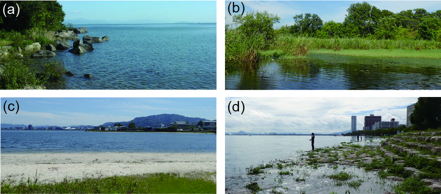 琵琶湖の主な沿岸環境