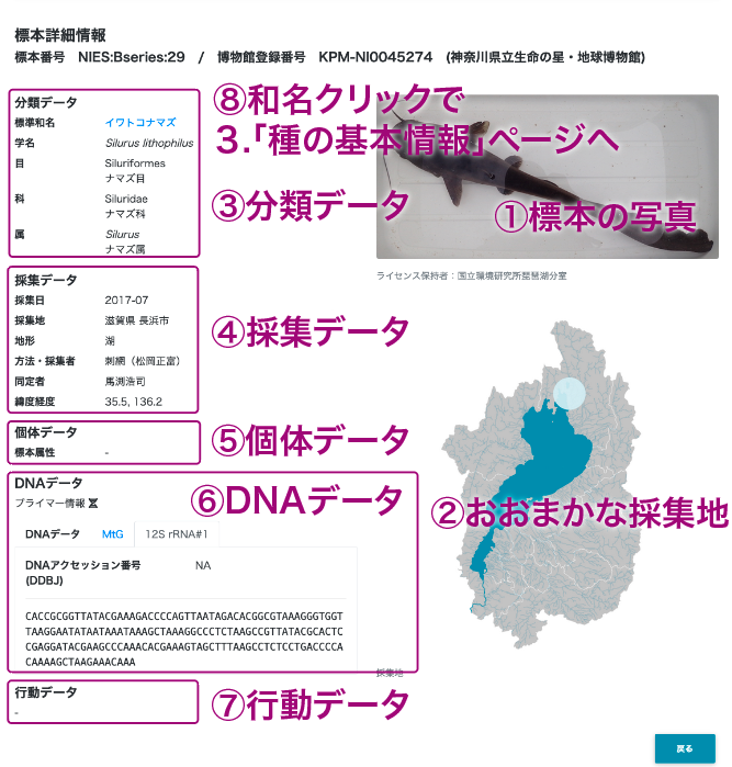 標本詳細情報画面