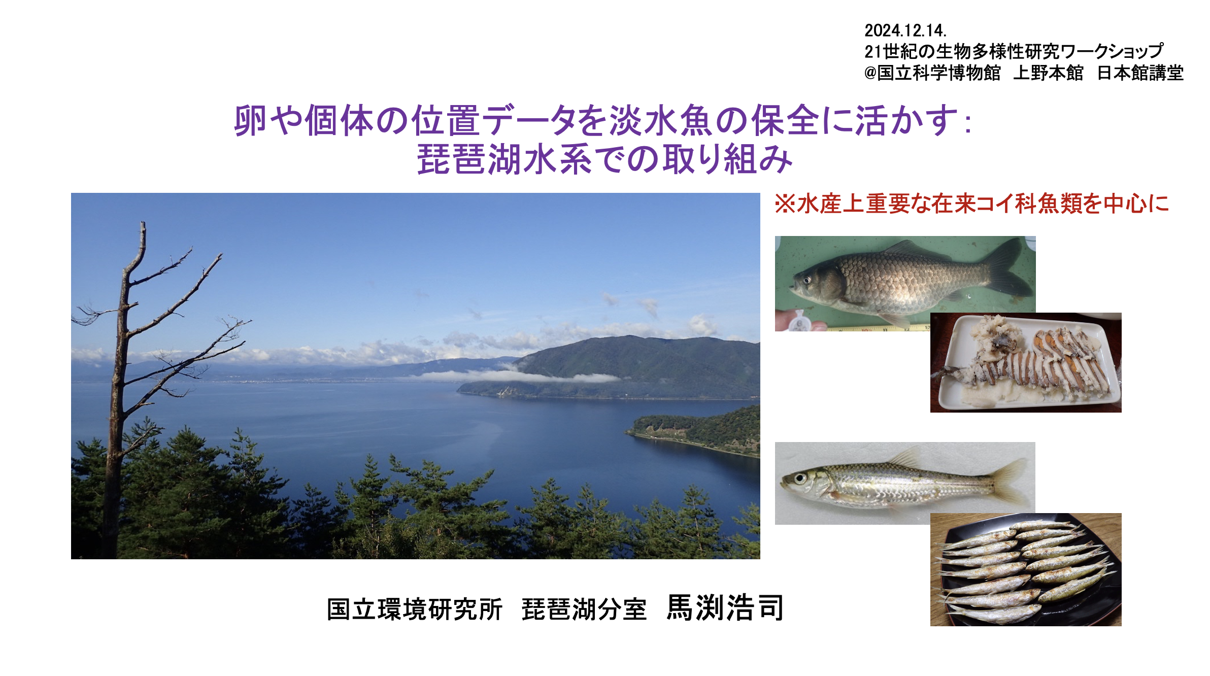 図の説明