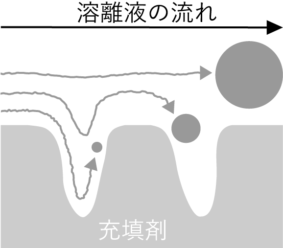 サイズ排除クロマトグラフ(SEC)の原理