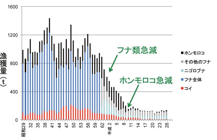 琵琶湖の主要なコイ科魚類の漁獲量の変遷