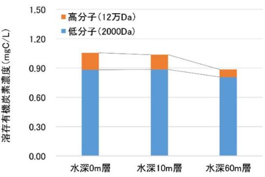琵琶湖のサイズ別溶存有機炭素濃度