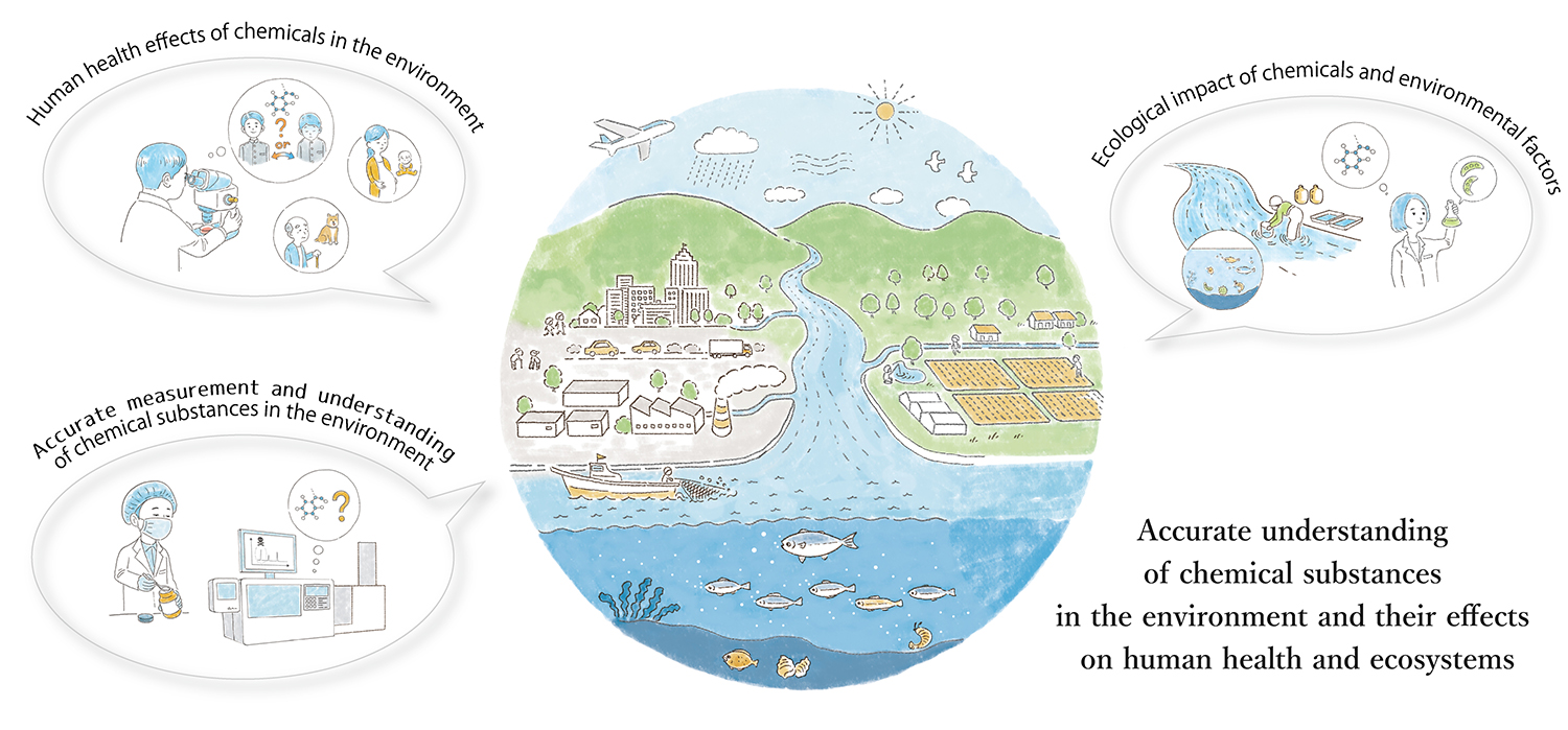 Figure: Outline of Research for Health and Environmental Risk Division