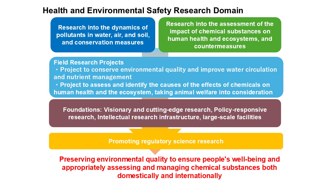 Figure: Outline of Research, Health and Environmental Safety Research Domain