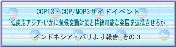 COP13・COP/MOP3サイドイベント「低炭素アジア － いかに気候変動対策と持続可能な発展を連携させるか」　インドネシア・バリより報告 その３