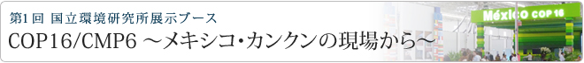 COP16/CMP6 ～メキシコ・カンクンの現場から～第1回　国立環境研究所展示ブース