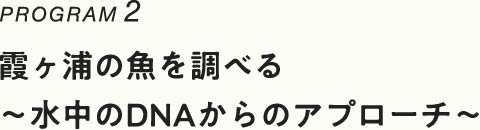 PROGRAM2 霞ヶ浦の魚を調べる 〜水中のDNAからのアプローチ〜 へ移動します