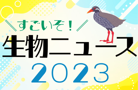 すごいぞ！生物ニュース2023