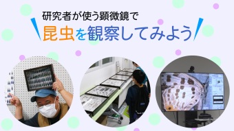 D3のイベントのイメージ画像