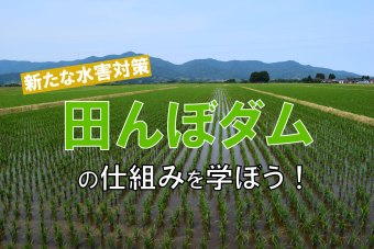 D2のイベントのイメージ画像