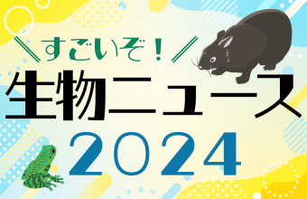 F2のイベントのイメージ画像