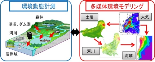 環境とモデルによる放射性物質の動態解明(イメージ)