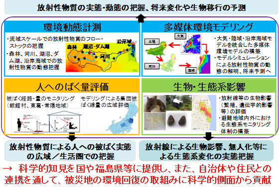 環境回復研究プログラム（環境動態・影響評価）の成果の俯瞰(イメージ)