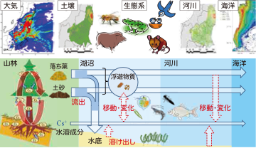 環境動態・影響評価の概念図