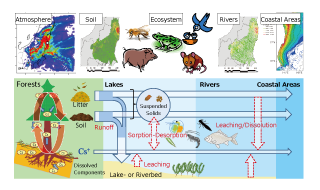 Environmental Behavior and Impact Assessment