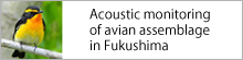 Acoustic monitoring of avian assemblage in　Fukushima