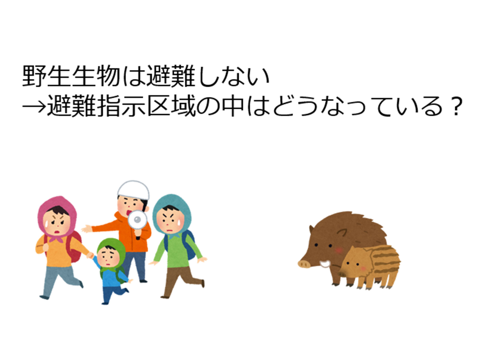 講義資料：避難しない野生生物は避難指示区域でどうなっている？のイラスト