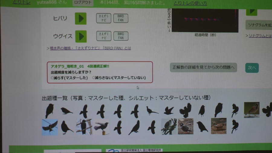 正答を重ね、シルエットから写真にかわった画面