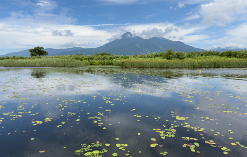 水草ヒシは厄介者？有効な資源？水環境とヒシを考える［全国ヒシサミット2026 in 猪苗代湖 参加レポート］サムネイル