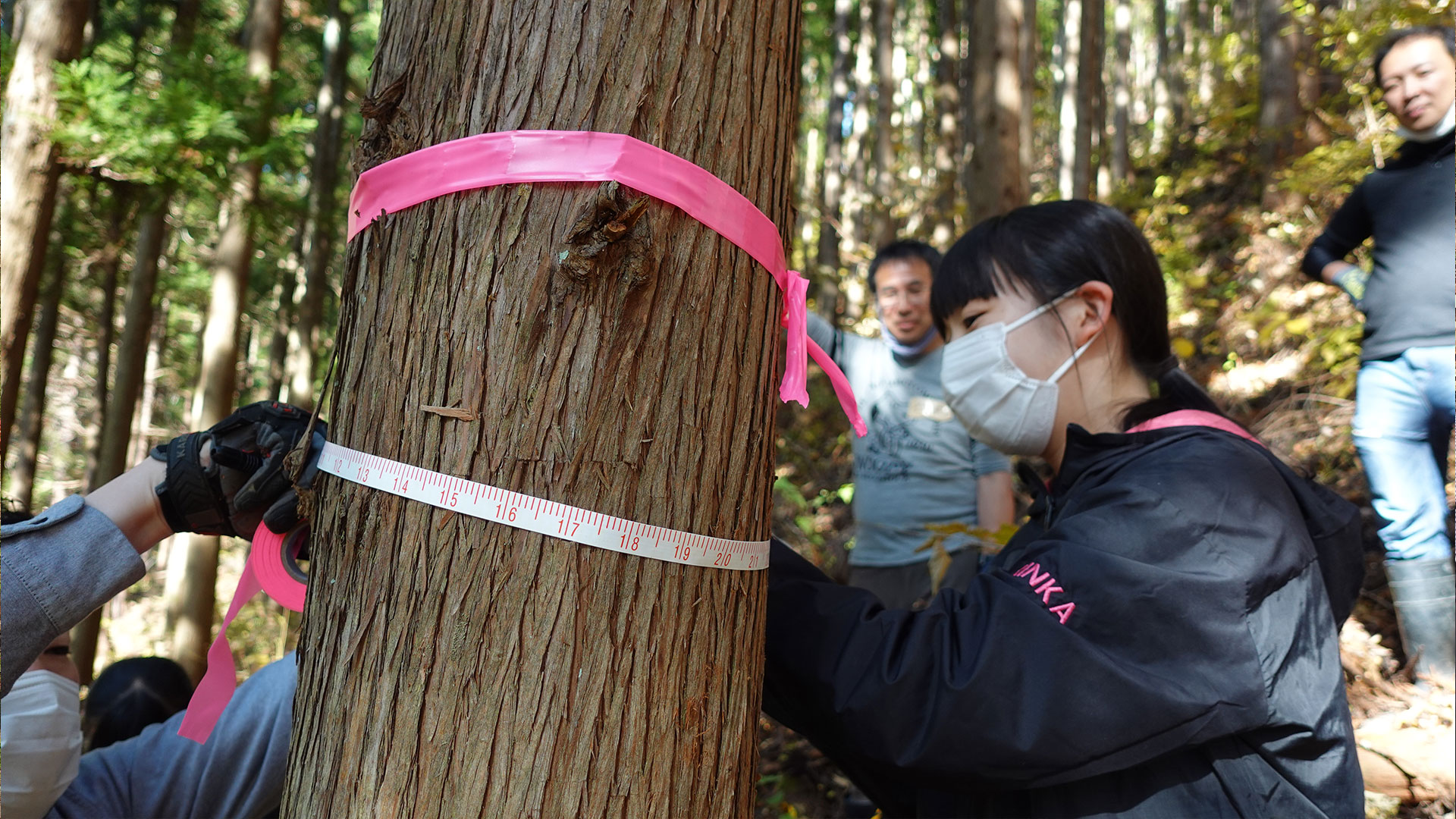 樹木の太さを測る参加者