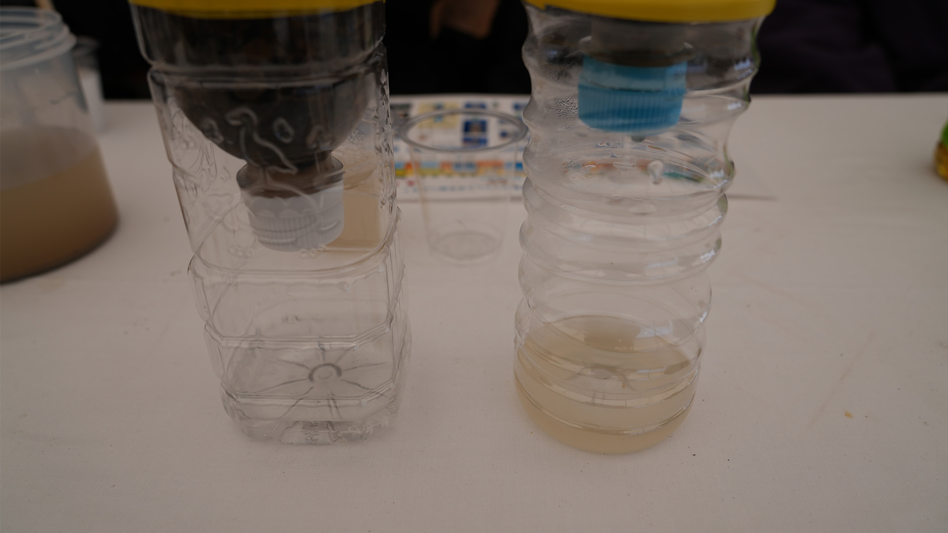 JO准特別研究員が小学生を相手に自作の標本を見せる様子