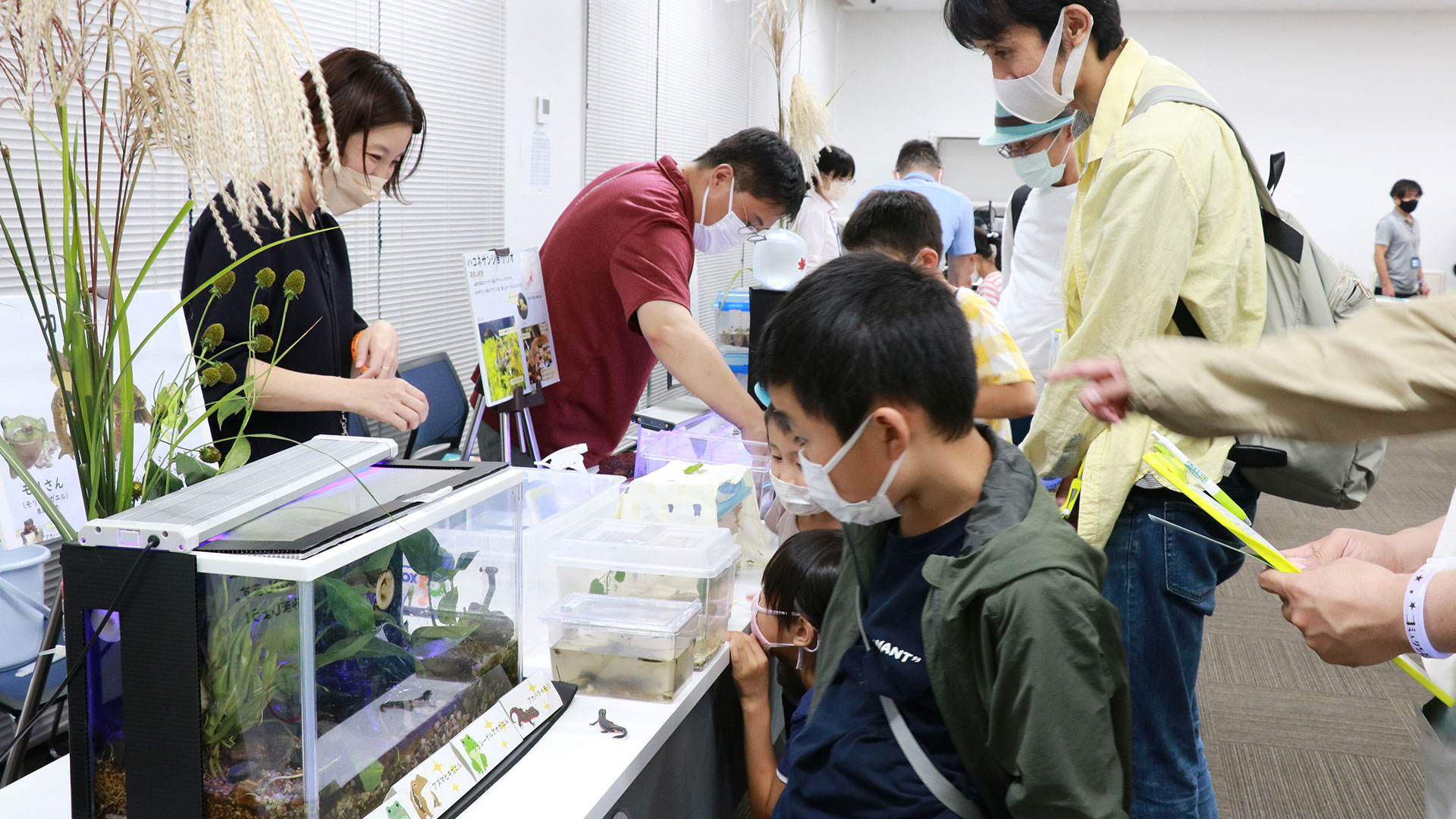 にぎわう生き物展示コーナー