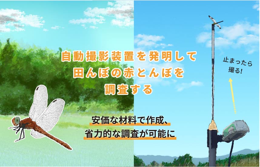 自動撮影装置を発明して田んぼの赤とんぼを調査するサムネイル