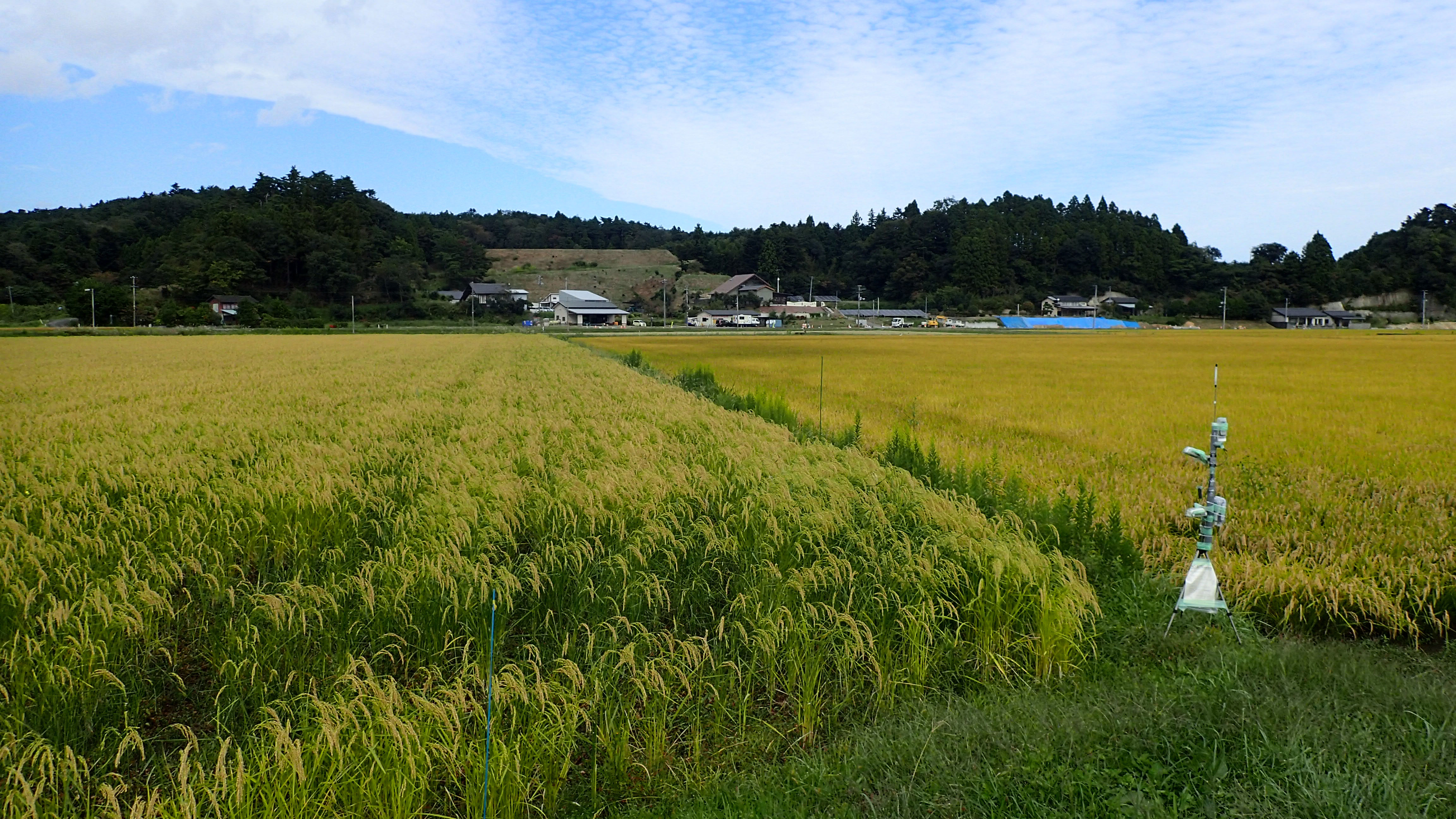 南相馬市の田んぼに設置された自動撮影装置の写真