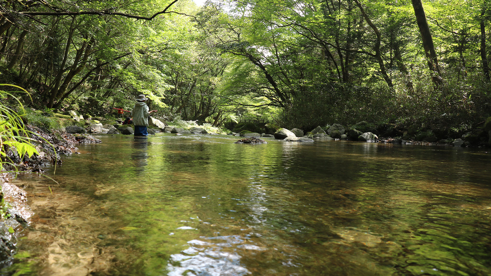 川での調査風景の写真