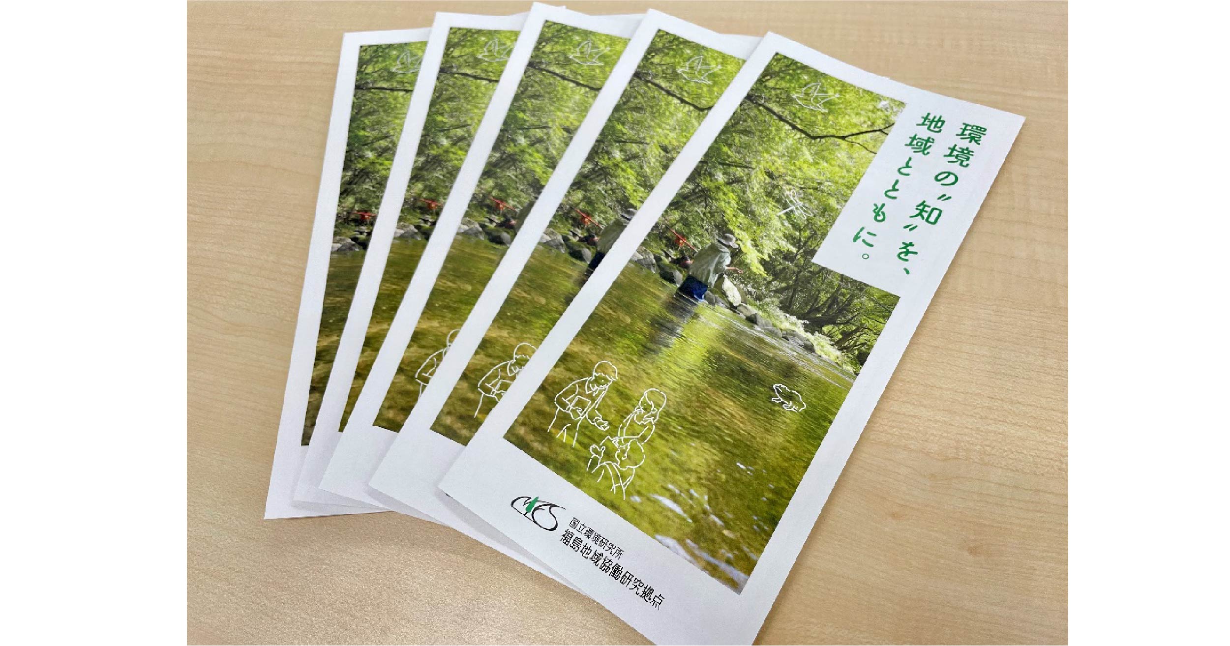 水溶性フロガンのリーフレット