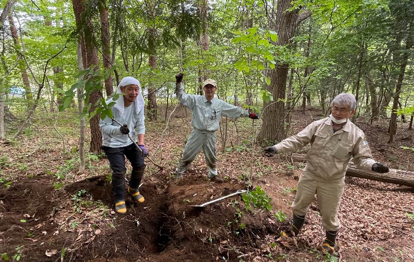 サムネイル山菜の根を掘る研究者